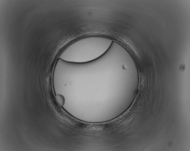 X0000097760491200803070840
