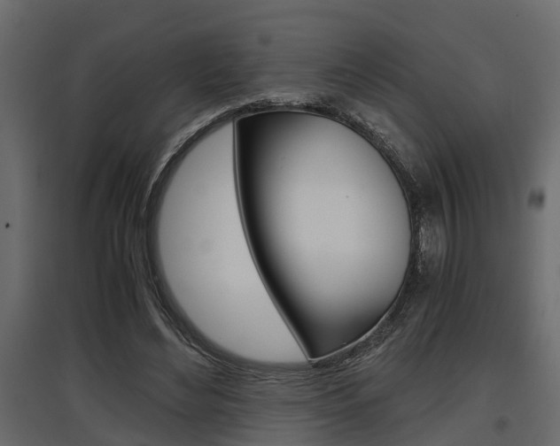X0000097760492200803070840