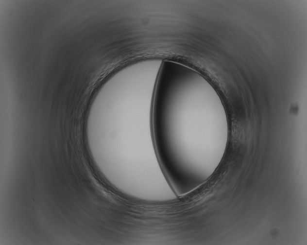 X0000097760493200803070840