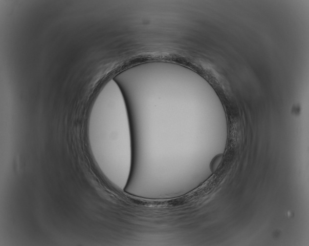 X0000097760495200803070840