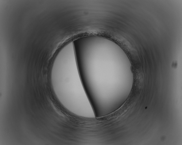 X0000097760496200803070840