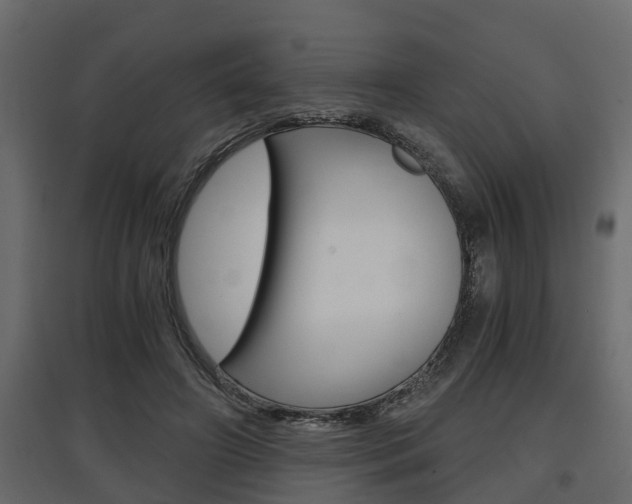 X0000097760498200803070840