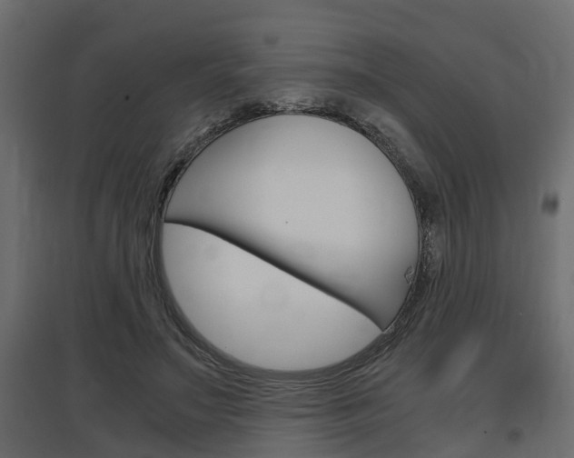 X0000097760499200803070840
