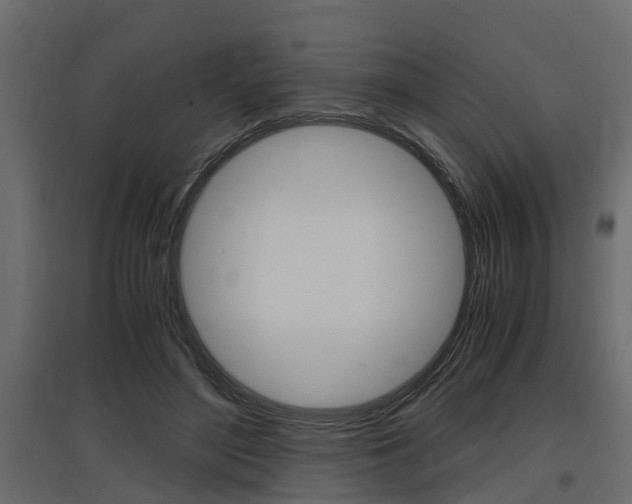 X0000097760500200803070840