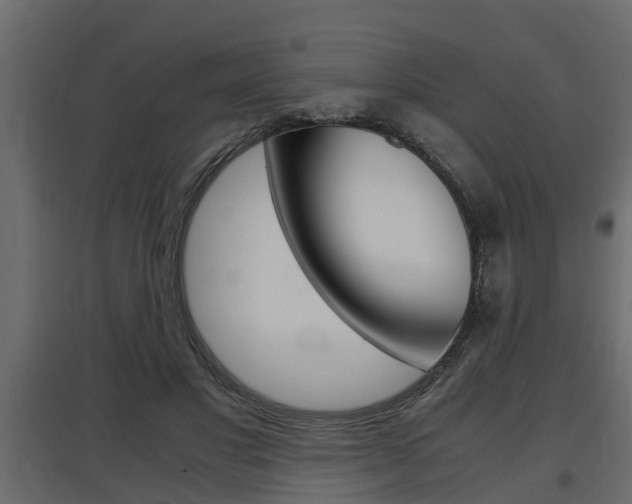 X0000097760501200803070840