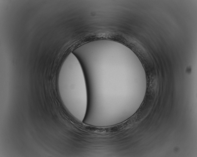 X0000097760502200803070840