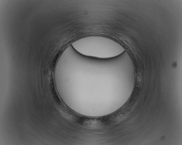 X0000097760503200803070840