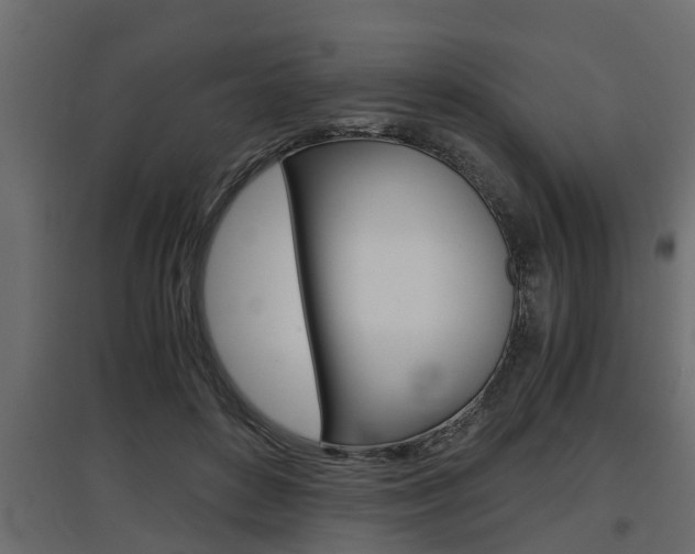 X0000097760504200803070840