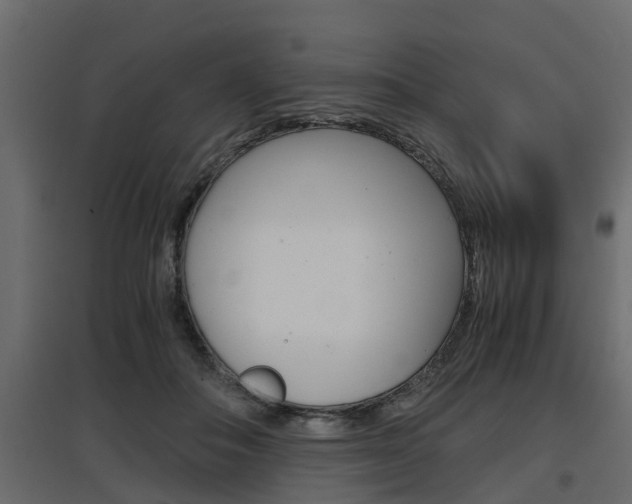 X0000097760506200803070840