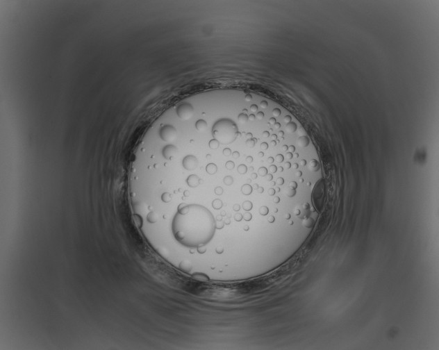 X0000097760507200803070840