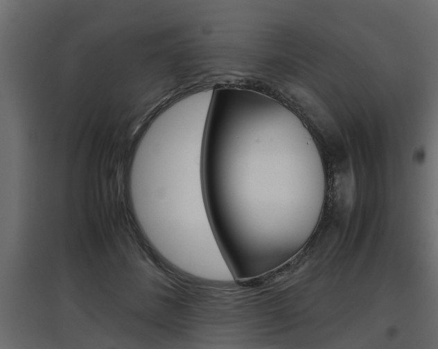 X0000097760508200803070840