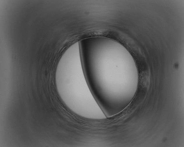 X0000097760509200803070840