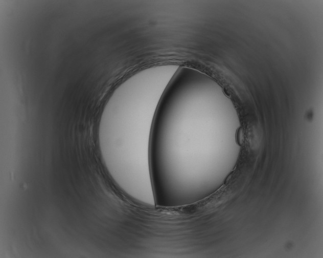 X0000097760512200803070840