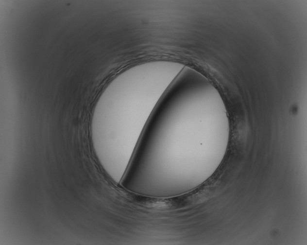 X0000097760513200803070840