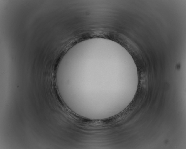 X0000097760514200803070840