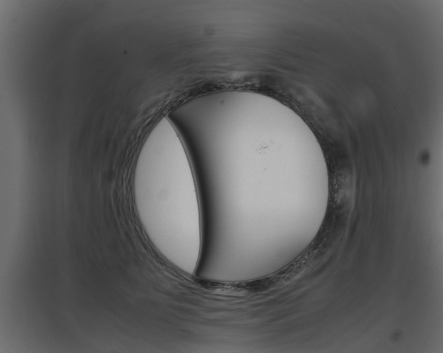 X0000097760515200803070840