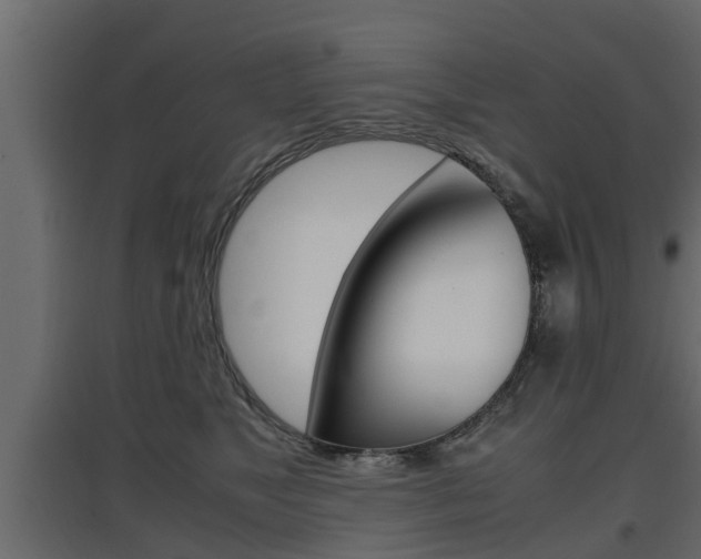 X0000097760517200803070839