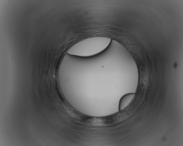 X0000097760518200803070839