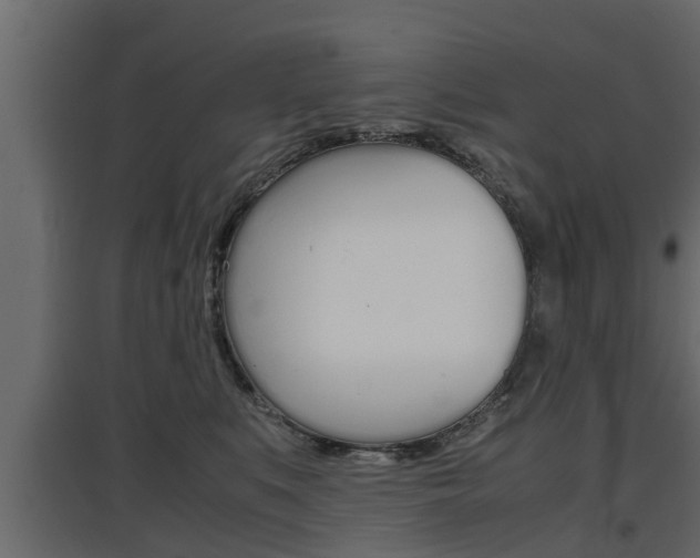 X0000097760519200803070839