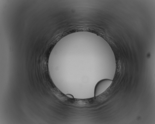 X0000097760522200803070839