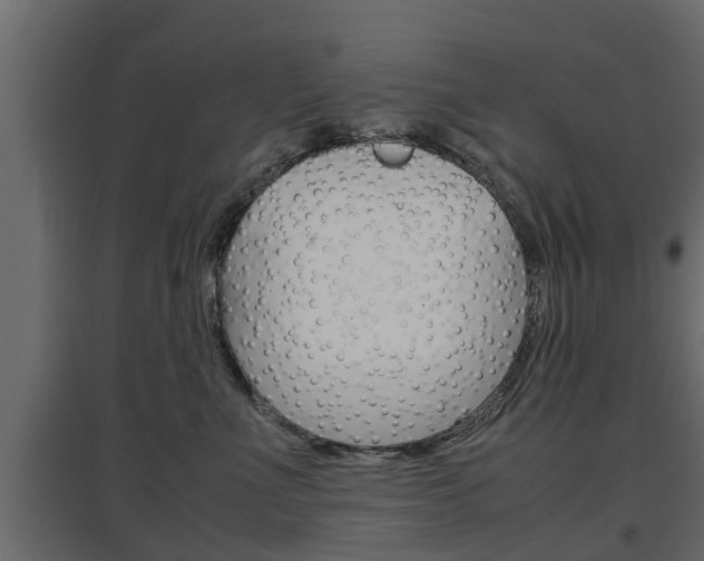 X0000097760523200803070839