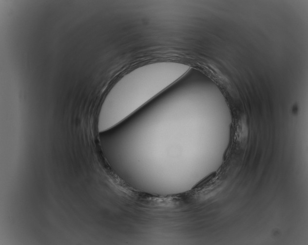 X0000097760524200803070839