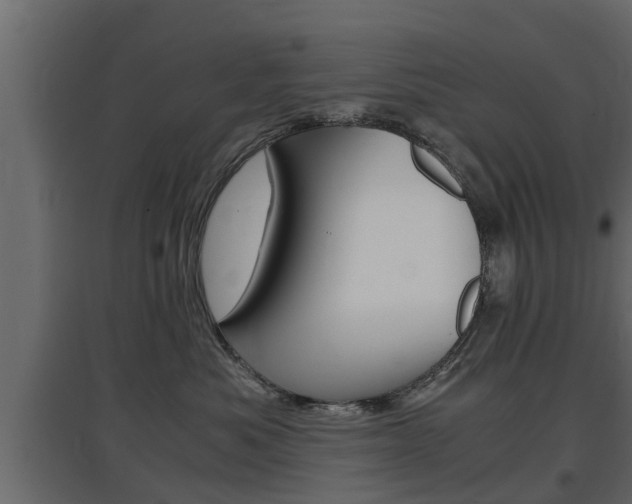 X0000097760525200803070839
