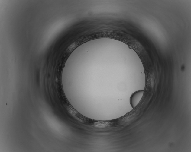 X0000097760526200803070839
