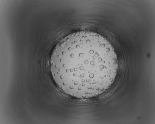 X0000097760527200803070839