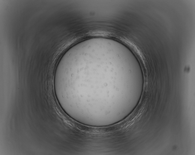 X0000097760529200803070838