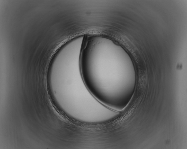 X0000097760530200803070839