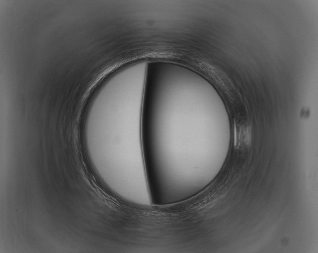 X0000097760531200803070839