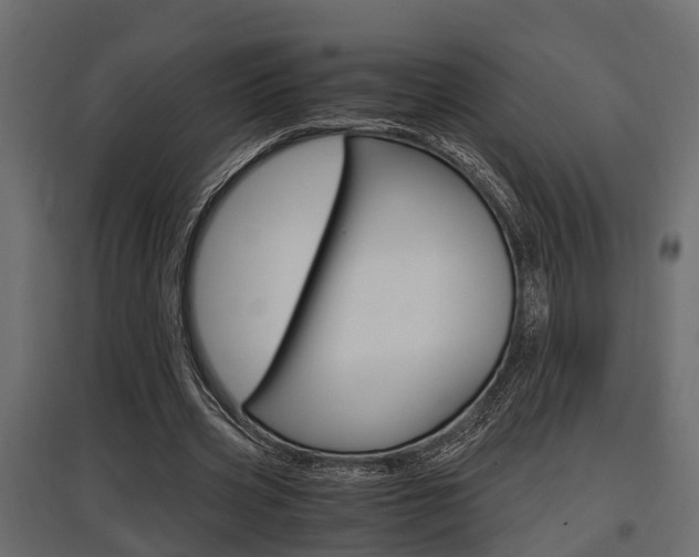 X0000097760533200803070839