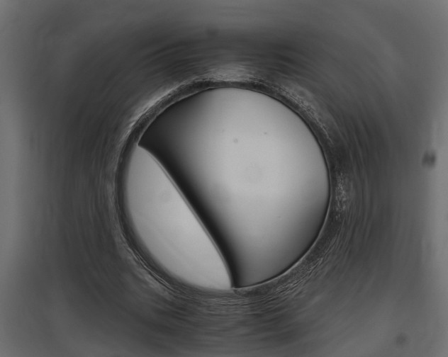 X0000097760535200803070839