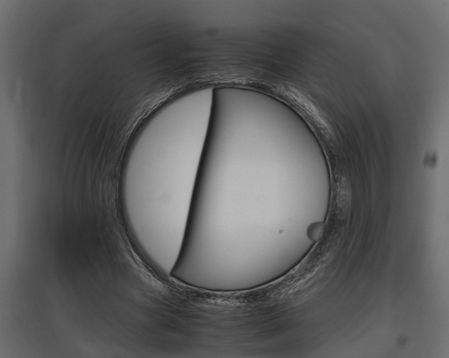X0000097760537200803070839