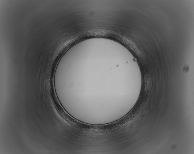 X0000097760538200803070839