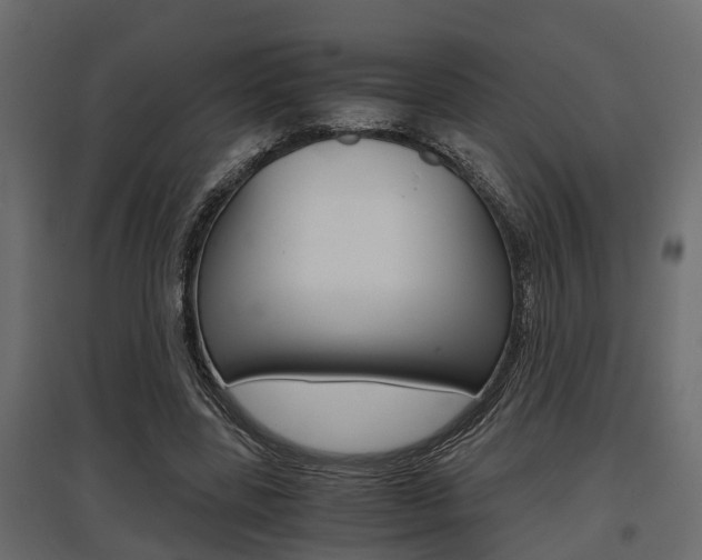 X0000097760539200803070839
