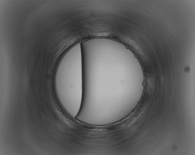 X0000097760541200803070839