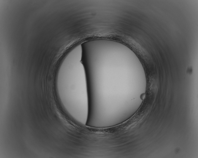X0000097760542200803070839