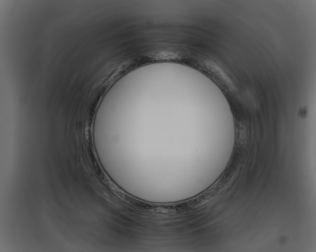 X0000097760549200803070839