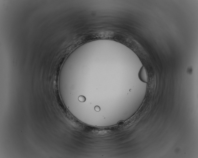 X0000097760553200803070839