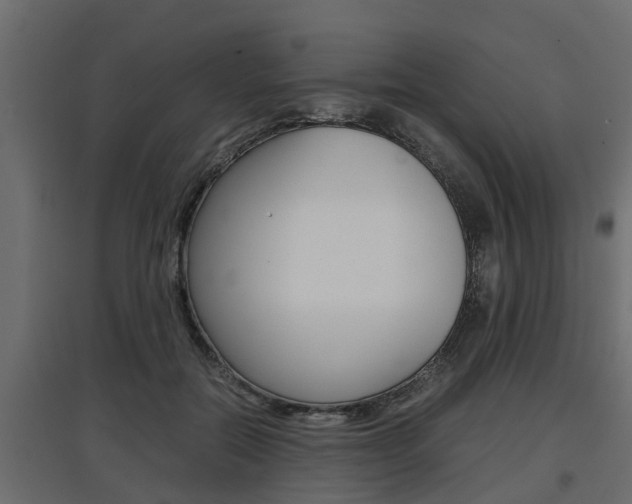 X0000097760554200803070839