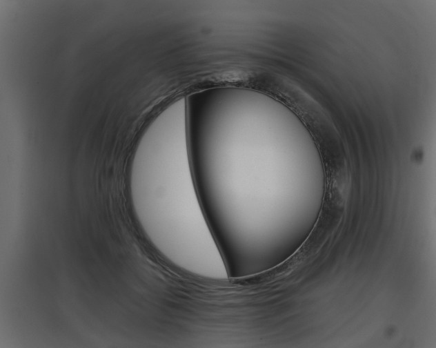 X0000097760556200803070839
