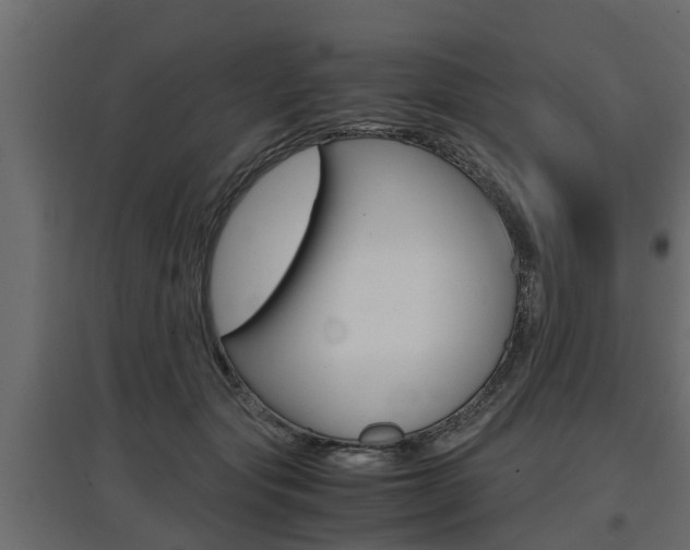 X0000097760557200803070839