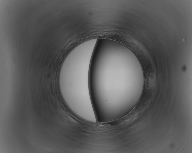 X0000097760558200803070839