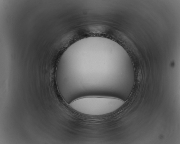 X0000097760559200803070839