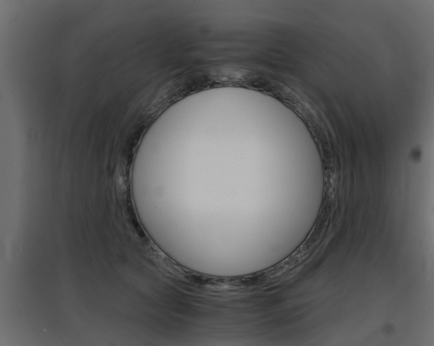 X0000097760561200803070839
