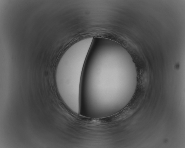 X0000097760562200803070839
