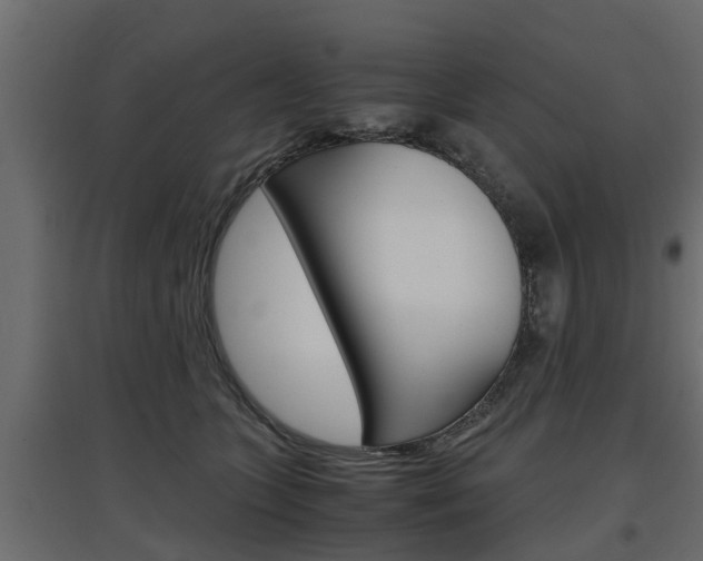 X0000097760563200803070839