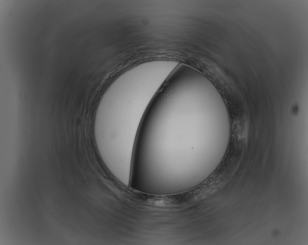 X0000097760564200803070839